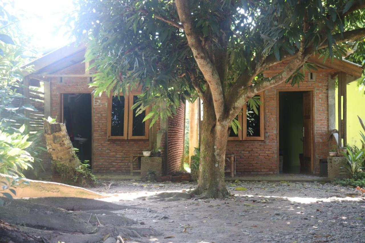 Jhony'S Backpacker-Guest House Only Stay Here Book Treking With Us Bukit Lawang Ngoại thất bức ảnh