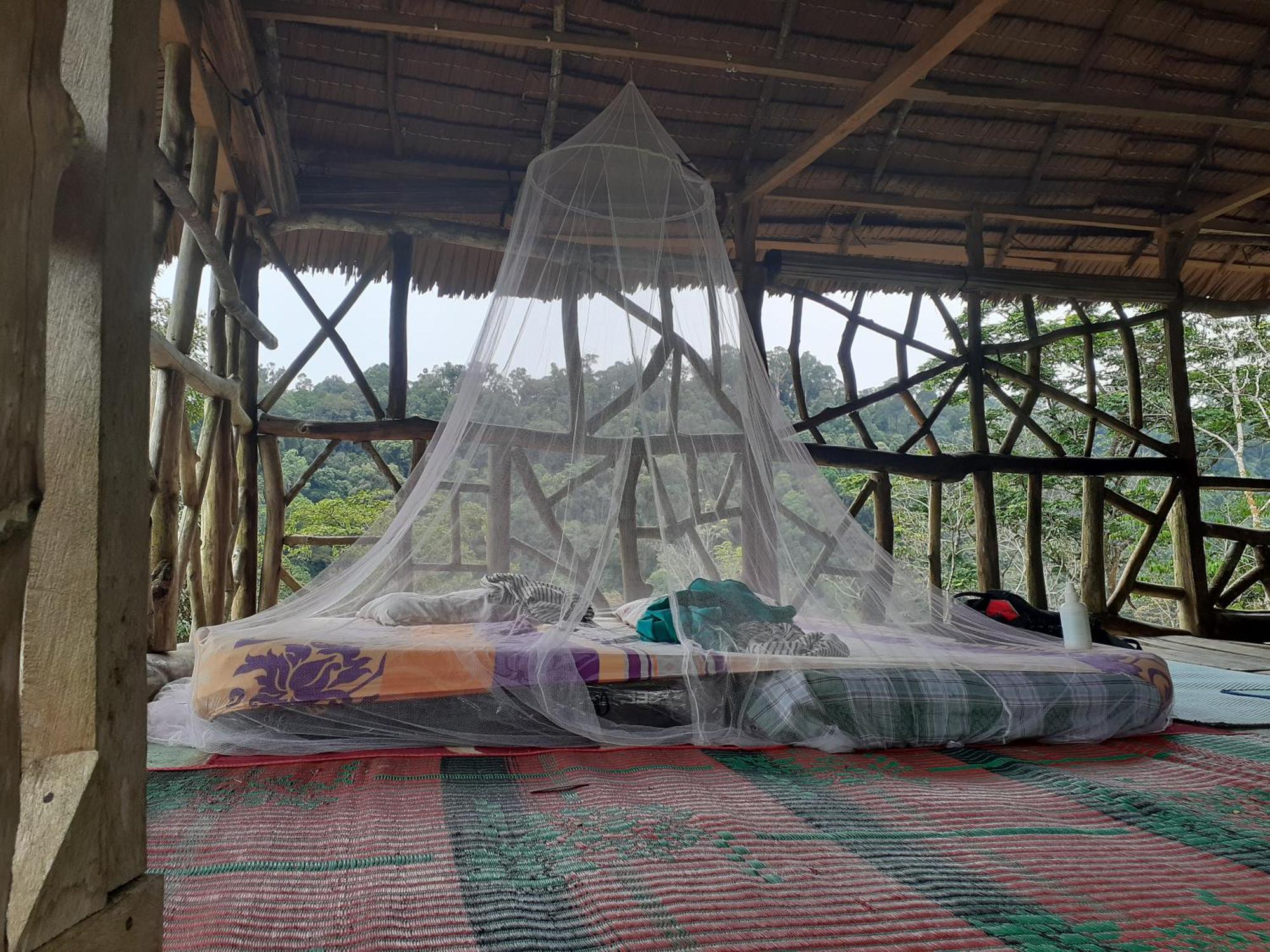 Jhony'S Backpacker-Guest House Only Stay Here Book Treking With Us Bukit Lawang Ngoại thất bức ảnh